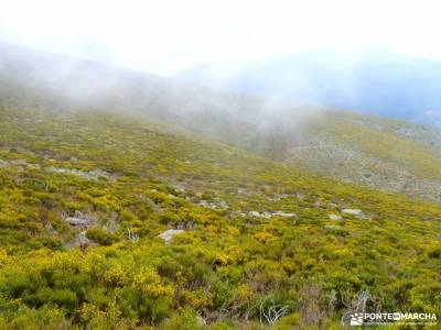 Cuerda Larga - Clásica ruta Puerto Navacerrada;rutas en bici por la sierra de madrid gr 10 madrid vi